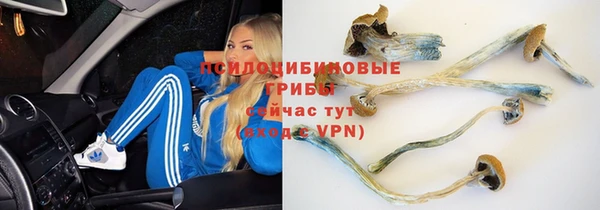 бошки Абдулино