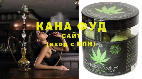 мдпв Абаза