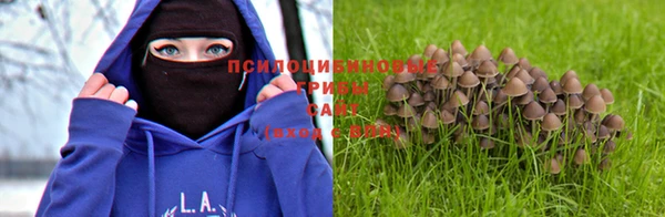 бошки Абдулино